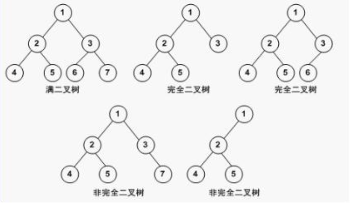 image-20211112204726067