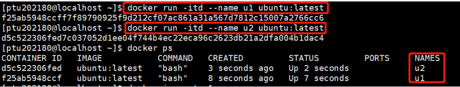 image-20221217113713903