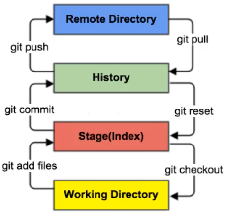 image-20220211185841447